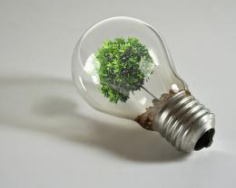Save energy...Save the Earth Picture